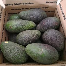 Organic Hass avocado